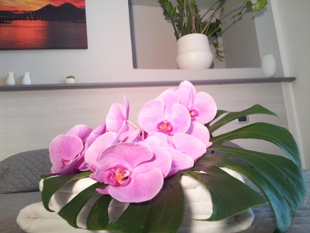 B&B Solimena ナポリ エクステリア 写真